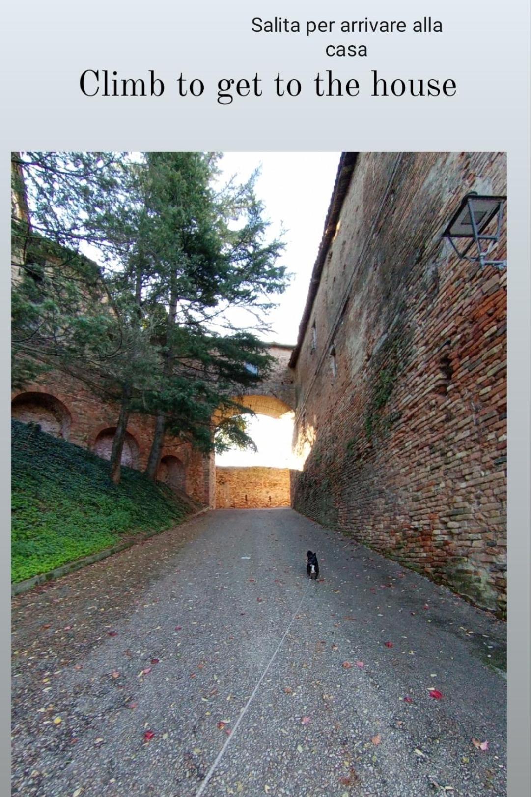 Teresa Al Belvedere Rooms&Holidayapartments Camere&Appartamenti Castellinaldo Екстериор снимка