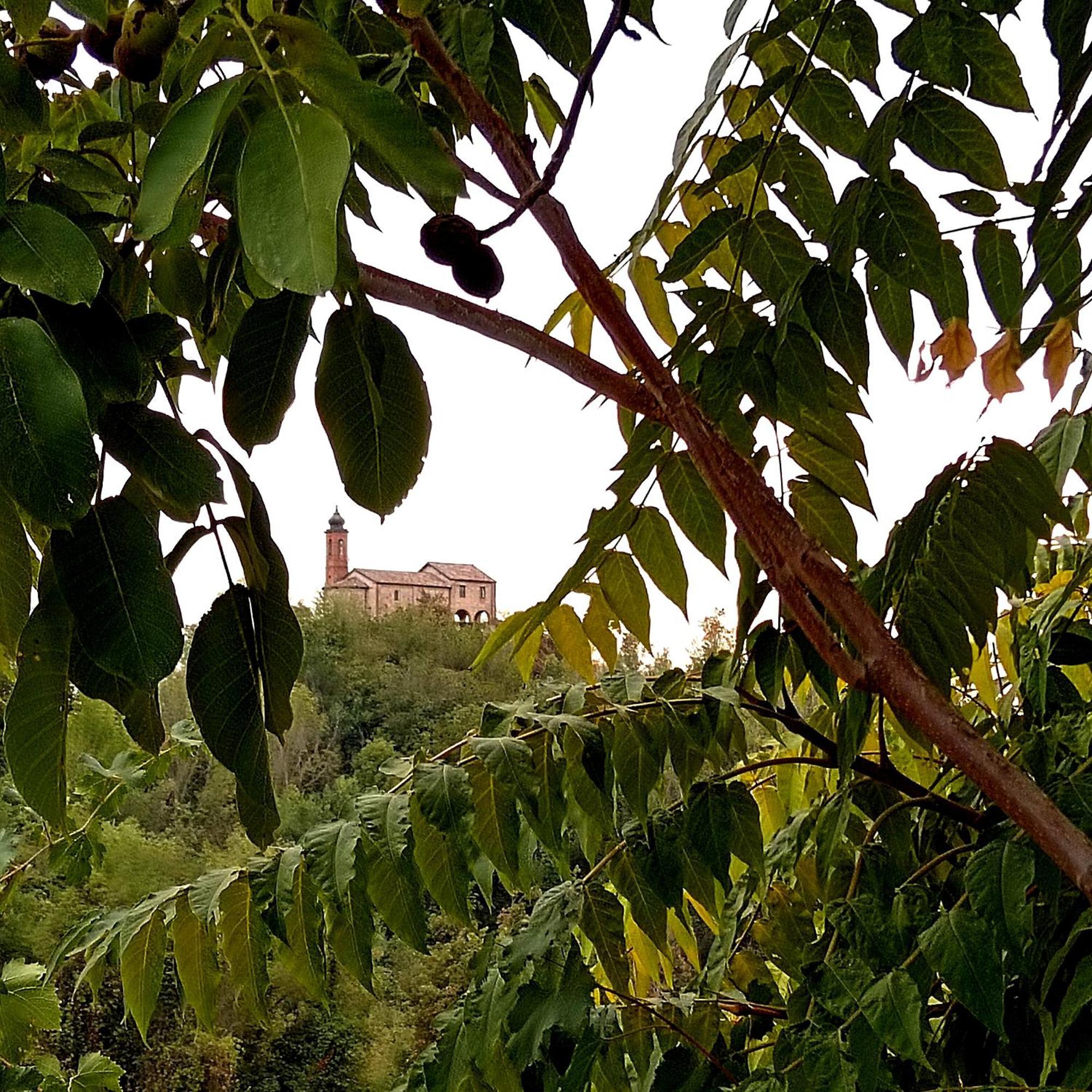 Teresa Al Belvedere Rooms&Holidayapartments Camere&Appartamenti Castellinaldo Екстериор снимка