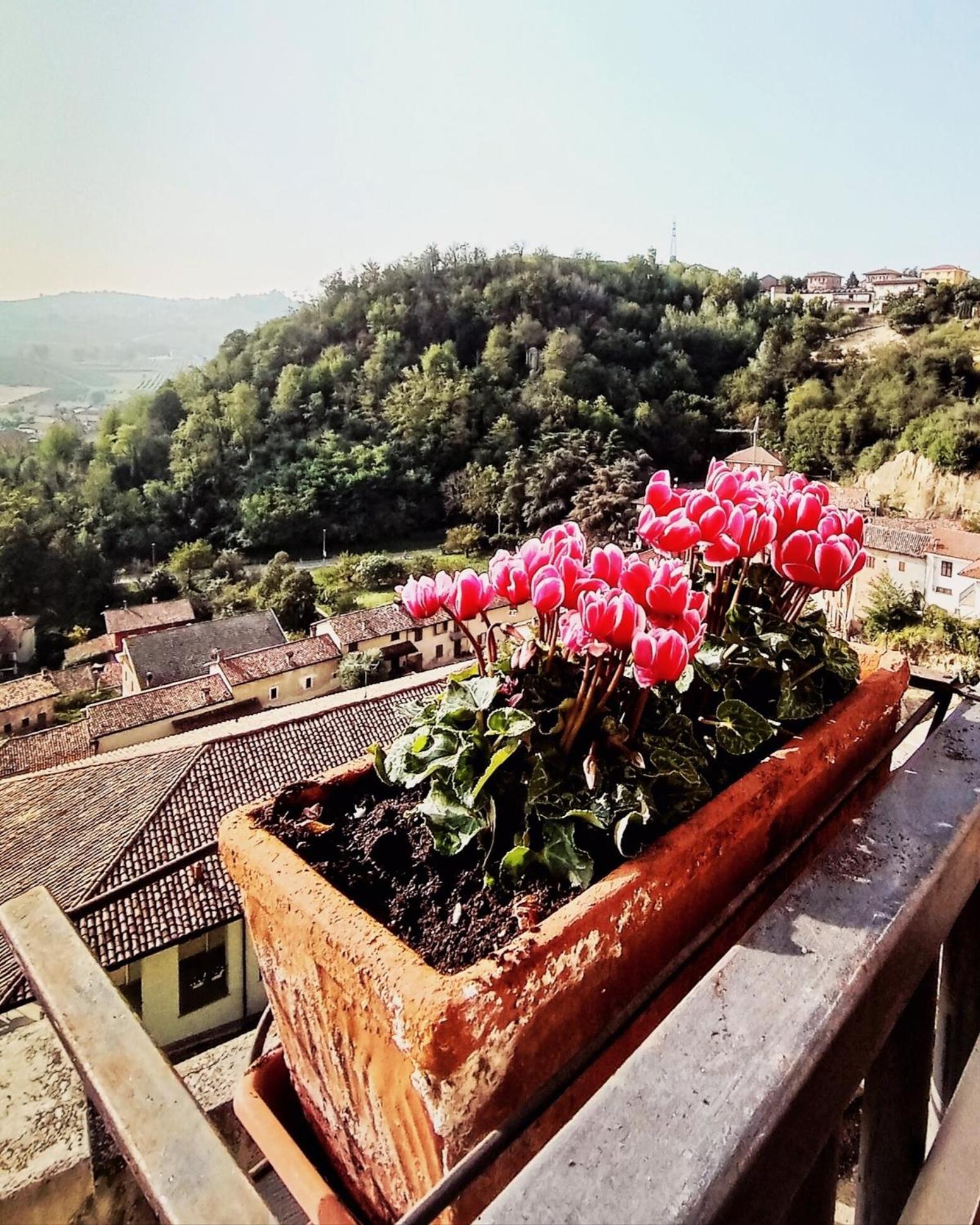 Teresa Al Belvedere Rooms&Holidayapartments Camere&Appartamenti Castellinaldo Екстериор снимка